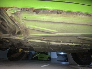 IMG_5059.jpeg