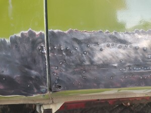 IMG_20240921_123959.jpg