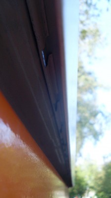 SL376622.JPG