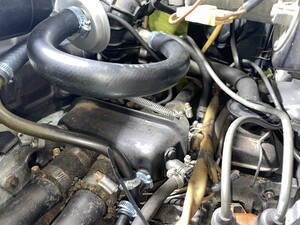 IMG_0759.jpeg