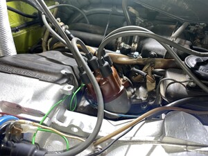 IMG_0753.jpeg