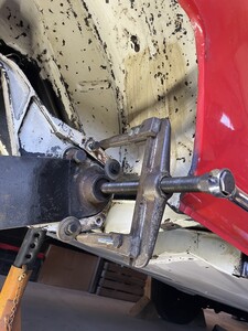 IMG_7206.jpeg