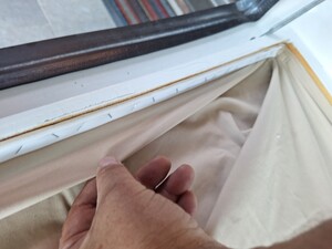 20250513_184659.jpg