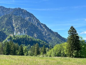 IMG_1235.jpeg