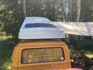 IMG_1570.jpeg