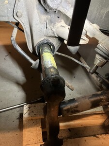 IMG_4131.jpeg