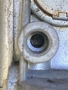 IMG_8888.jpeg