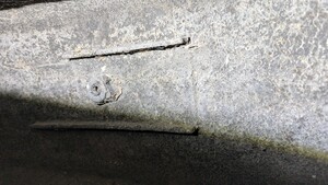 PXL_20250617_201327138.jpg