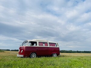 IMG_2970.jpeg