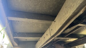 IMG_7209.jpeg