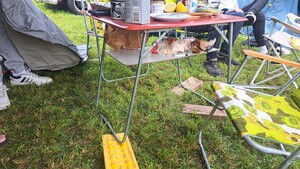 20250726_114558.jpg