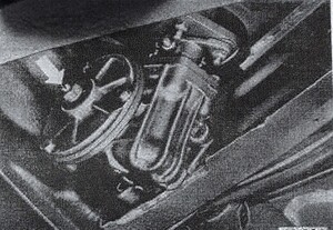 20250730_094155.jpg