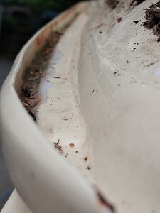 20250810_135325[1].jpg