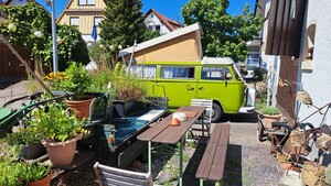 20250819_121731.jpg