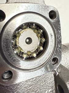 IMG_2823.jpeg