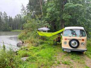 IMG_2565.jpg