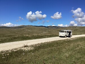 IMG_0950.jpeg