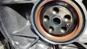 IMG_20260502_193209.jpg