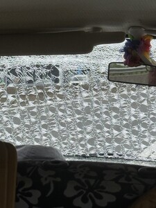 IMG_2221.jpeg