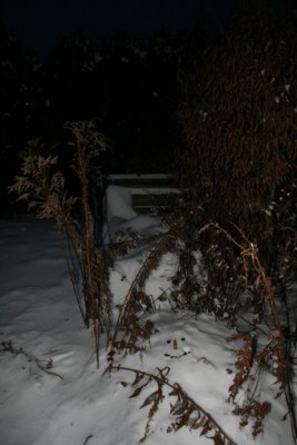 Schneetarn II.jpg