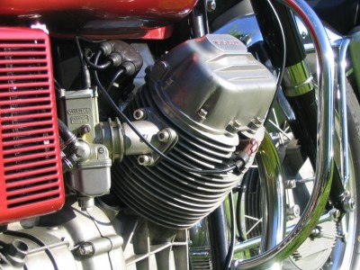 IMG_0374comp.jpg