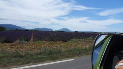 Lavendelfelder auf der Hochebene von Valensole