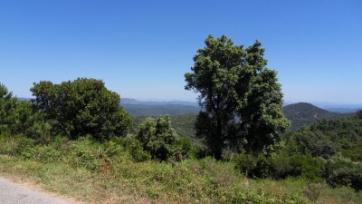 Im Hinterland der Küste
