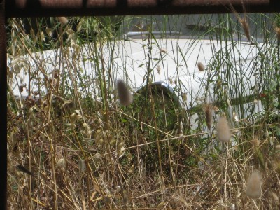 italien2009 271.jpg