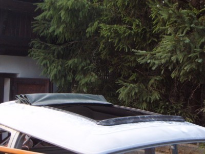 S4300019.JPG