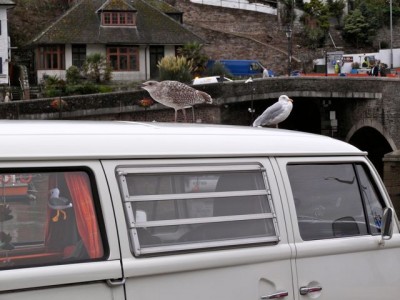 in Cornwall letzten Sommer...