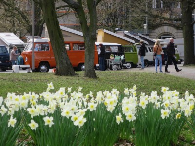 echte Frühlingsboten......